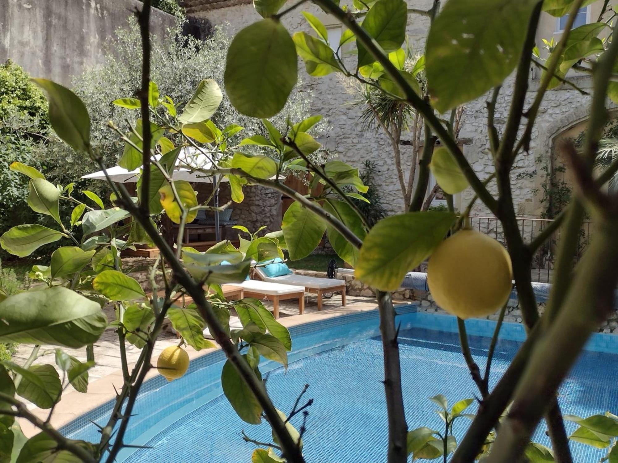 La Maison Des Autres, Piscine Chauffee, Chambres D'Hotes Proches Uzes, Nimes, Pont Du Gard Saint-Genies-de-Malgoires Eksteriør bilde