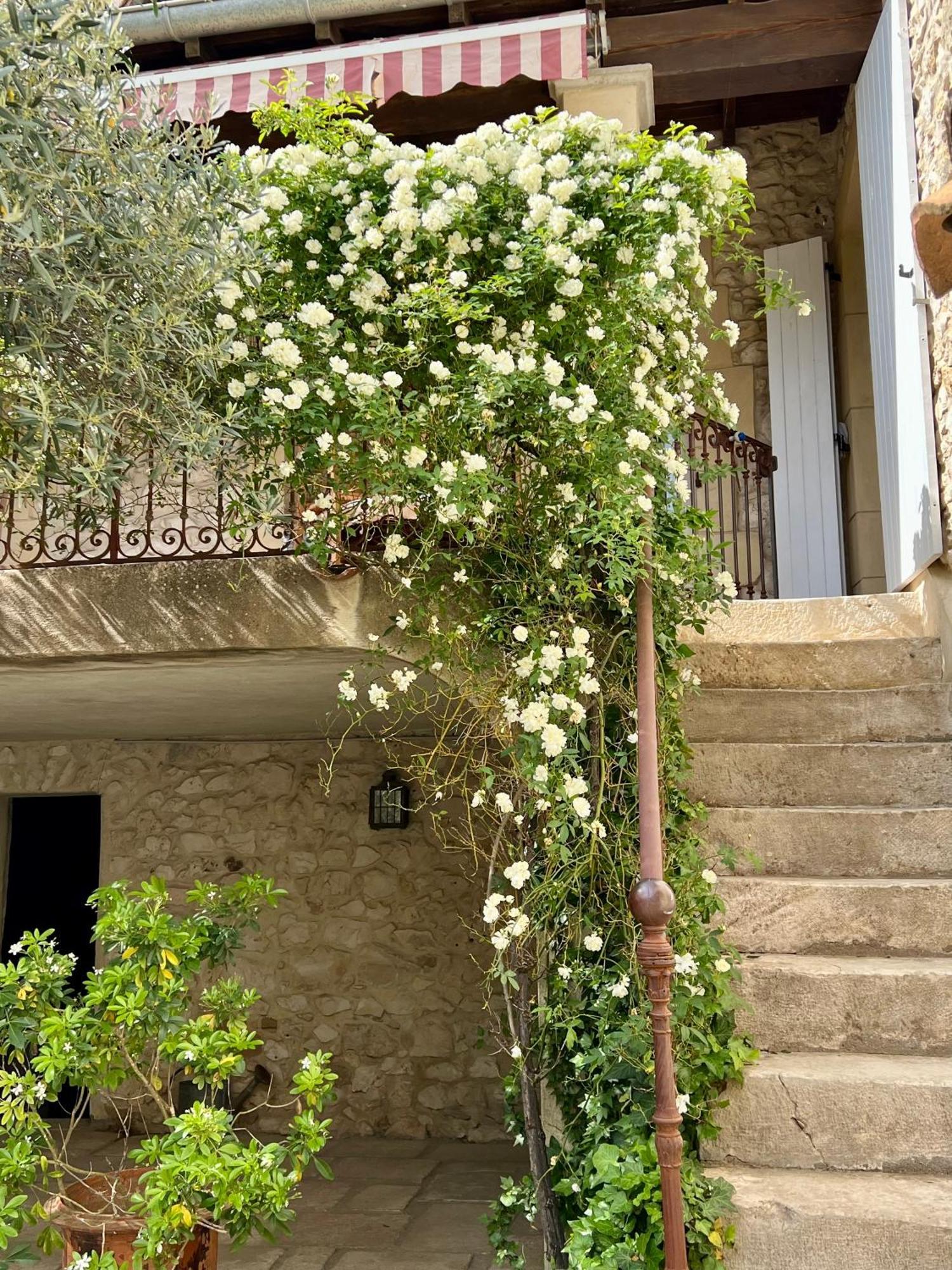 La Maison Des Autres, Piscine Chauffee, Chambres D'Hotes Proches Uzes, Nimes, Pont Du Gard Saint-Genies-de-Malgoires Eksteriør bilde